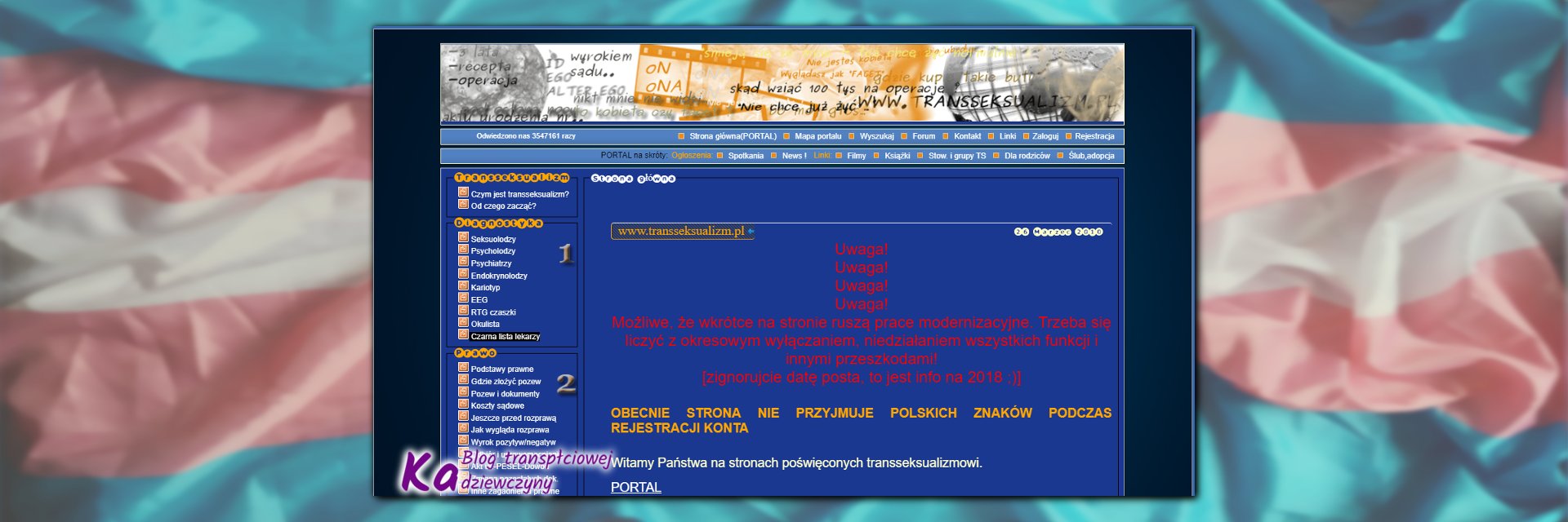 niebieskie forum, wygląd portalu