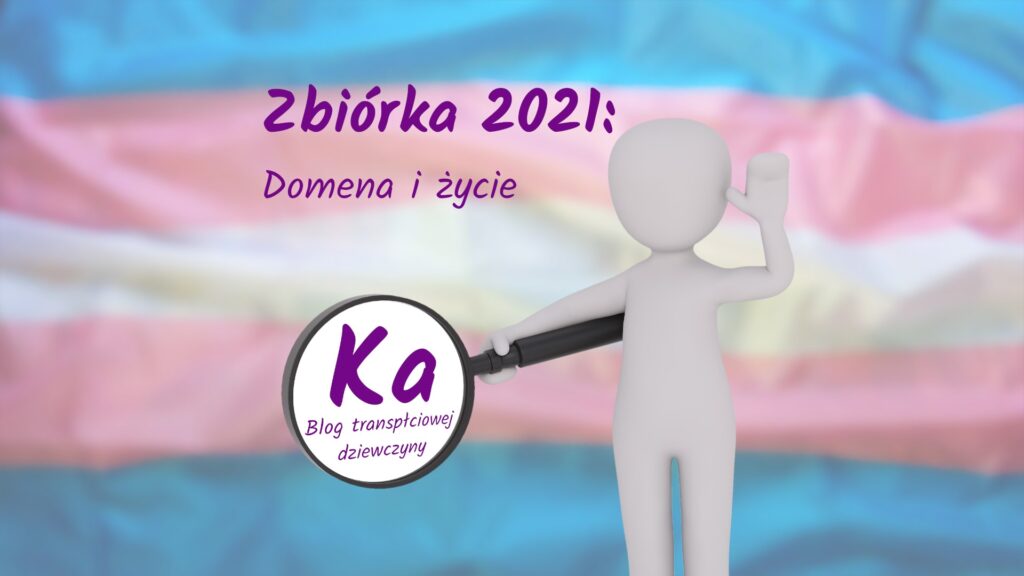 Napis: Zbiórka 2021: Domena i życie, poniżej szara postać z lupą w której widać logo Ka, na tle flagi trans