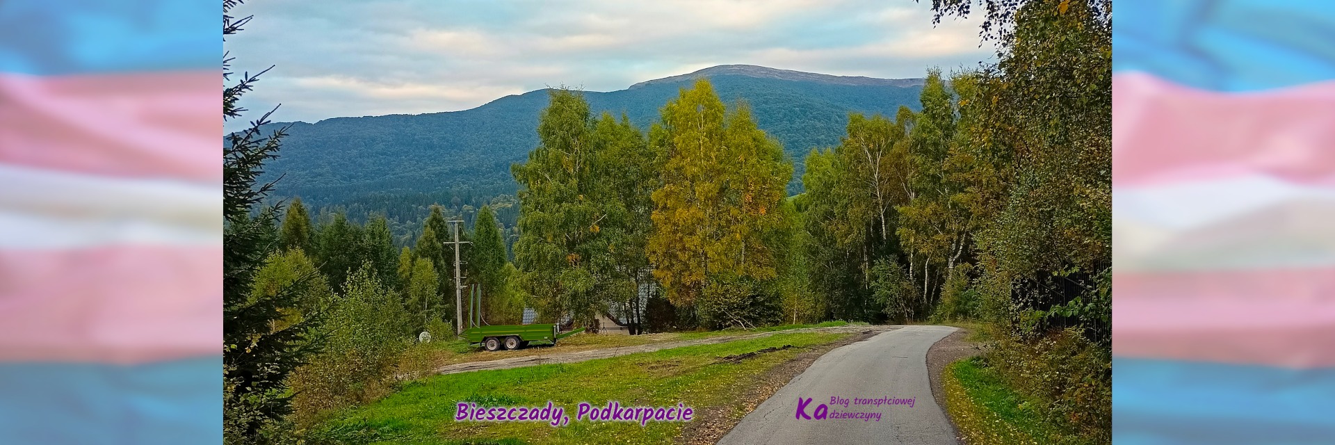 Tranzycja online Leny, zdjęcie pokazuje Bieszczady, widać asfaltową lokalną drogę, za nią drzewa, w tle góry